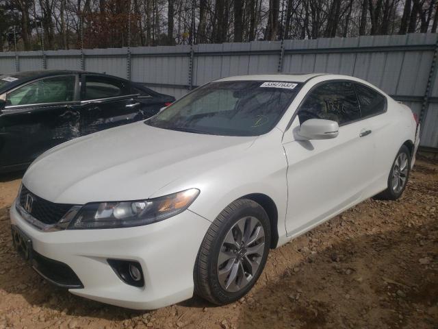 Photo 1 VIN: 1HGCT1B77DA026018 - HONDA ACCORD EX 