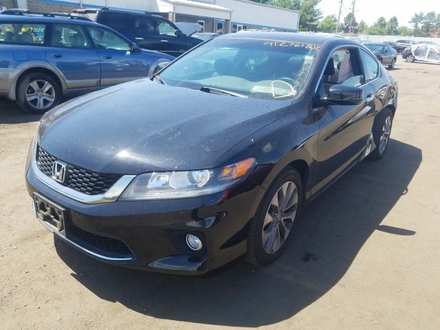 Photo 1 VIN: 1HGCT1B78DA009891 - HONDA ACCORD 