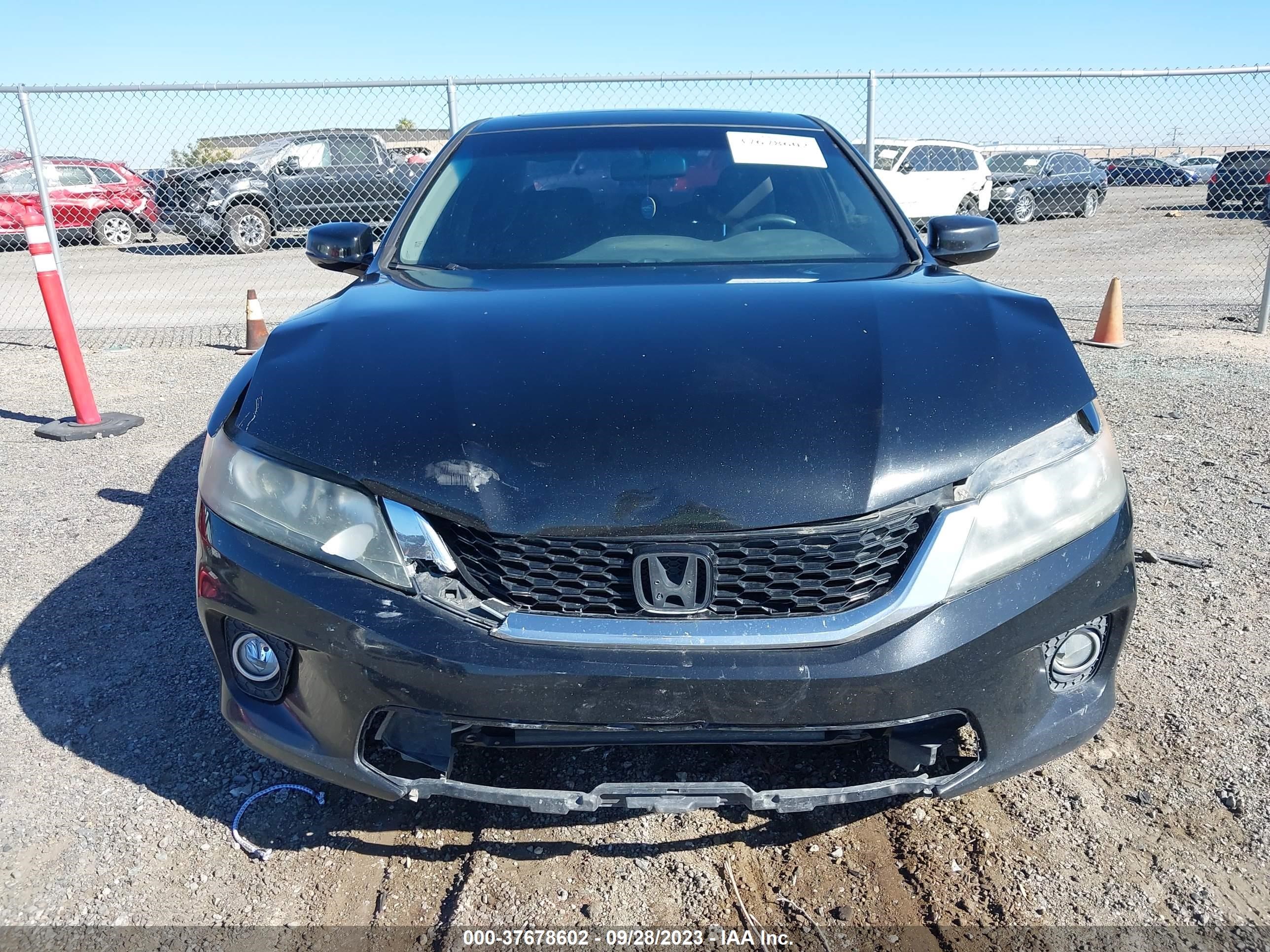 Photo 11 VIN: 1HGCT1B78EA013019 - HONDA ACCORD 