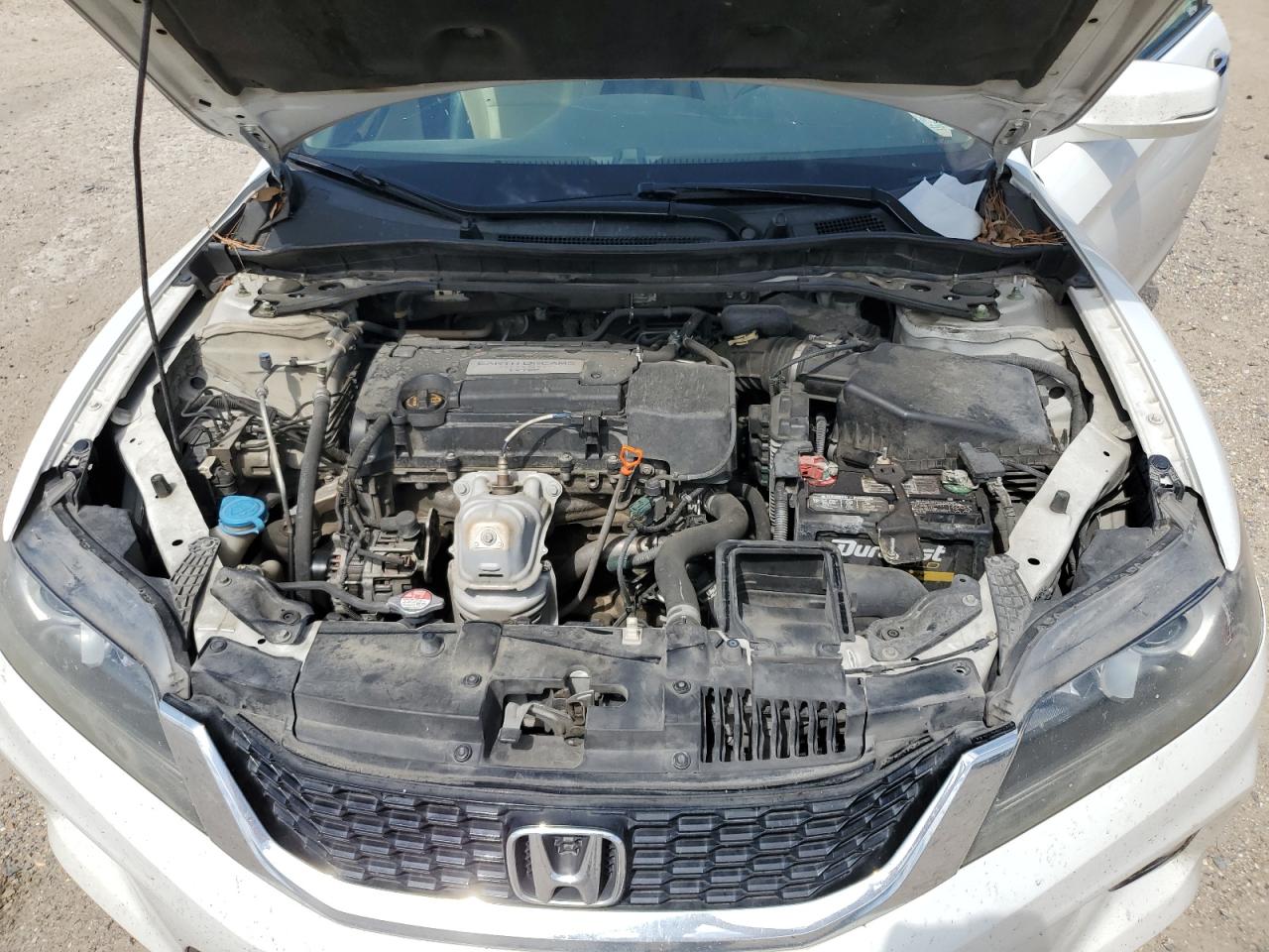 Photo 10 VIN: 1HGCT1B81EA004137 - HONDA ACCORD 