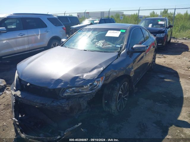 Photo 1 VIN: 1HGCT1B83GA010444 - HONDA ACCORD 