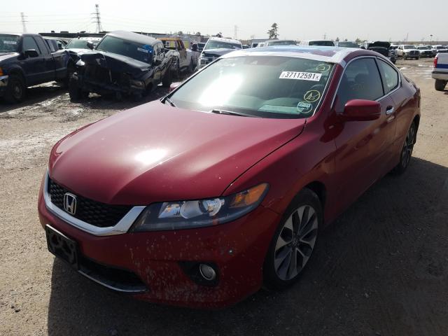 Photo 1 VIN: 1HGCT1B84EA000731 - HONDA ACCORD EXL 