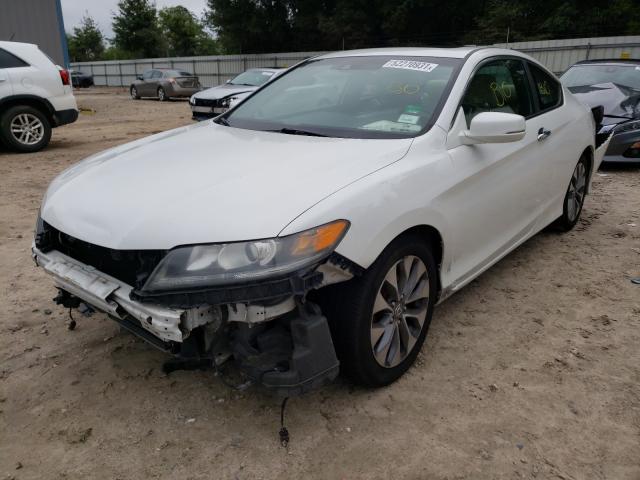 Photo 1 VIN: 1HGCT1B86DA006416 - HONDA ACCORD EXL 