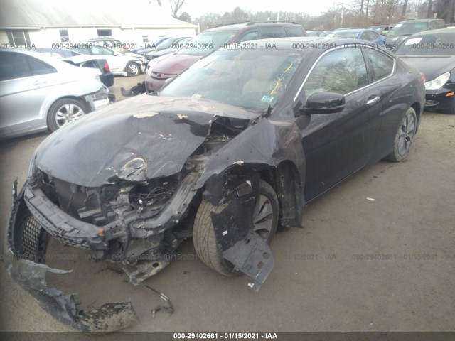 Photo 1 VIN: 1HGCT1B86DA016301 - HONDA ACCORD CPE 