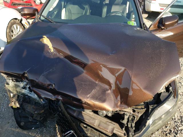 Photo 6 VIN: 1HGCT1B86DA019246 - HONDA ACCORD EXL 