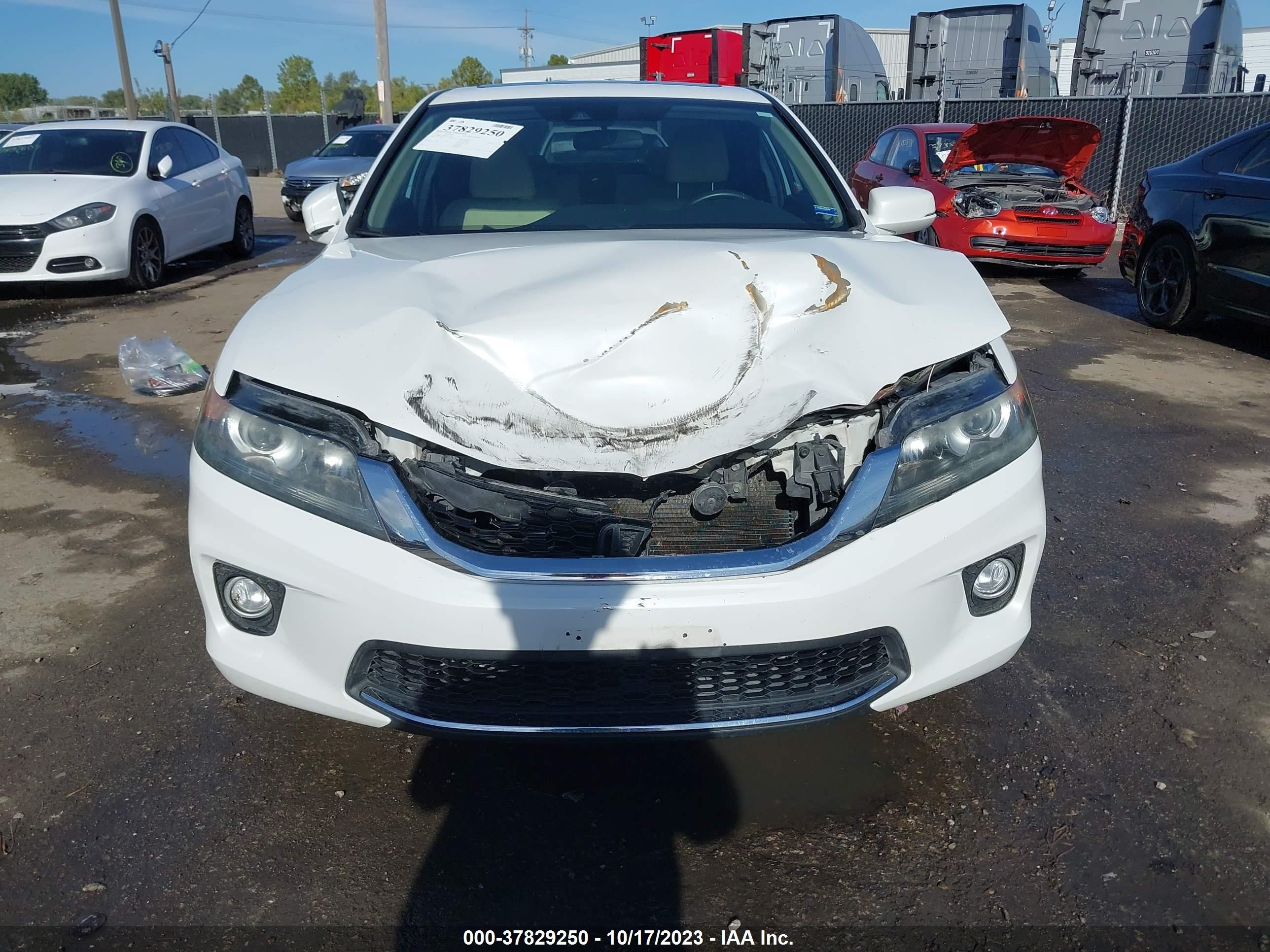 Photo 11 VIN: 1HGCT1B86EA012749 - HONDA ACCORD 