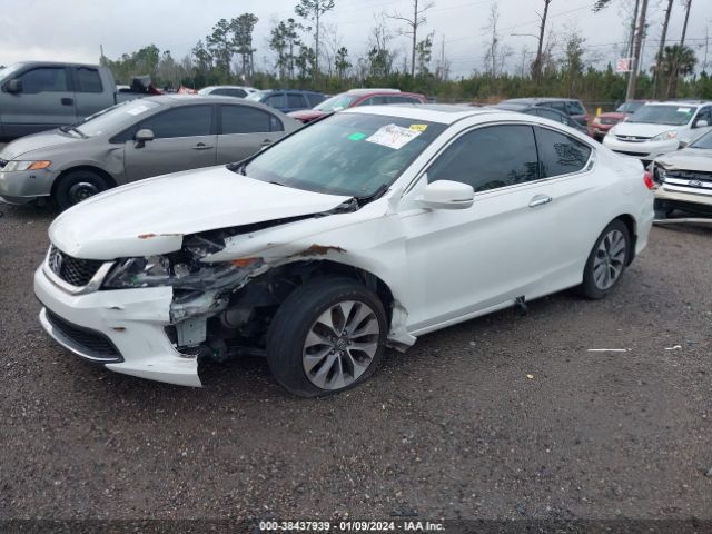 Photo 1 VIN: 1HGCT1B87DA017019 - HONDA ACCORD 