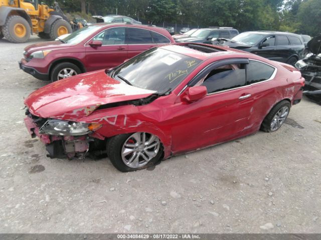 Photo 1 VIN: 1HGCT1B88DA005283 - HONDA ACCORD CPE 