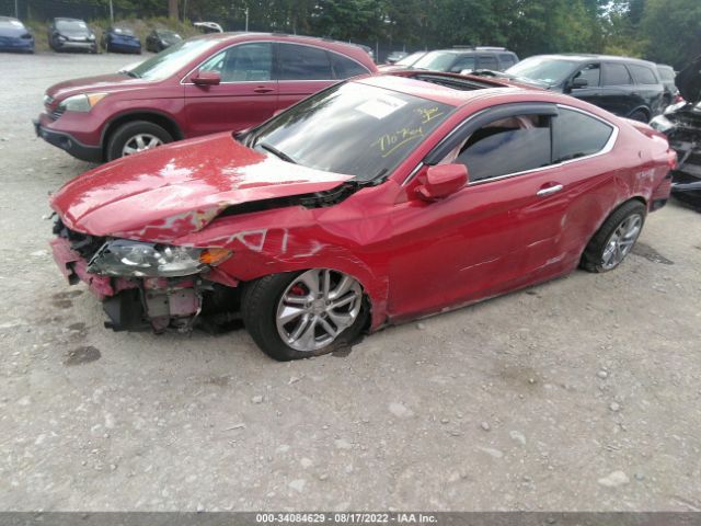 Photo 5 VIN: 1HGCT1B88DA005283 - HONDA ACCORD CPE 