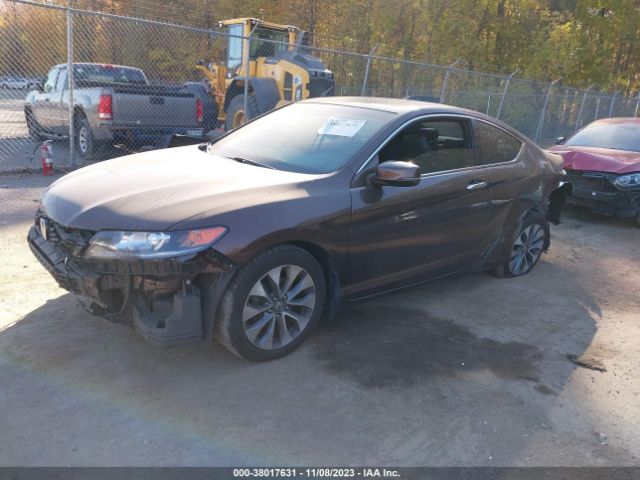 Photo 1 VIN: 1HGCT1B88DA011794 - HONDA ACCORD 