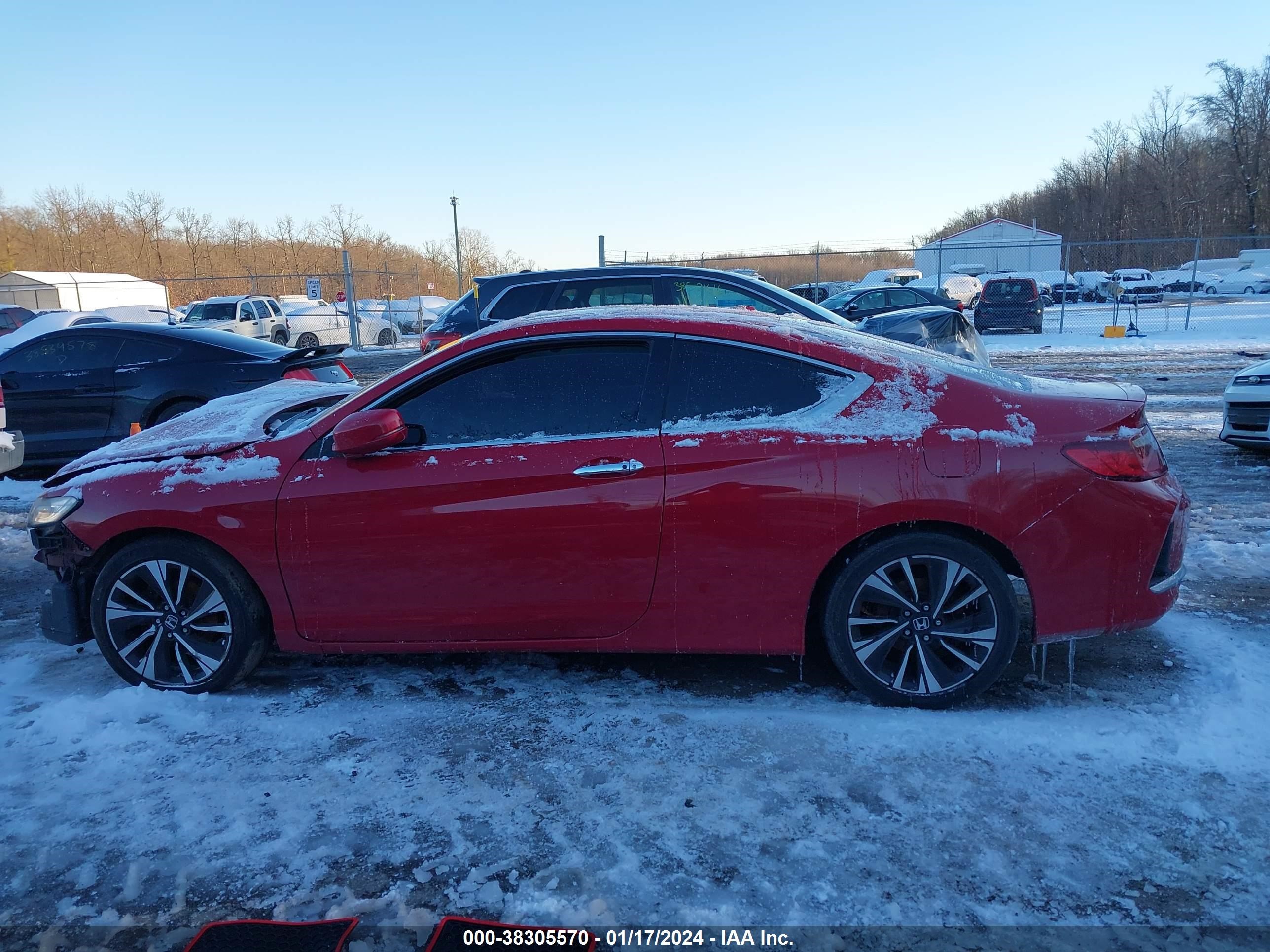 Photo 13 VIN: 1HGCT1B89GA007015 - HONDA ACCORD 