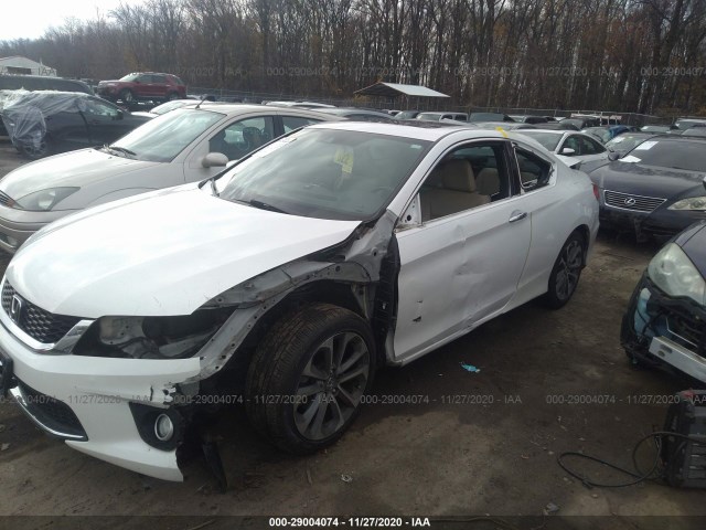 Photo 5 VIN: 1HGCT2B80EA005950 - HONDA ACCORD COUPE 