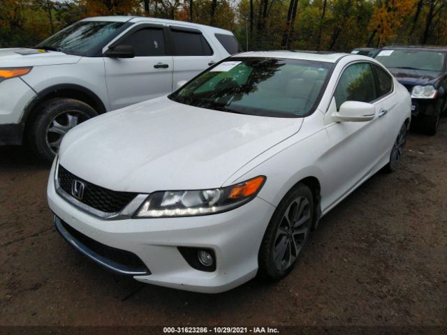 Photo 1 VIN: 1HGCT2B81DA003008 - HONDA ACCORD CPE 