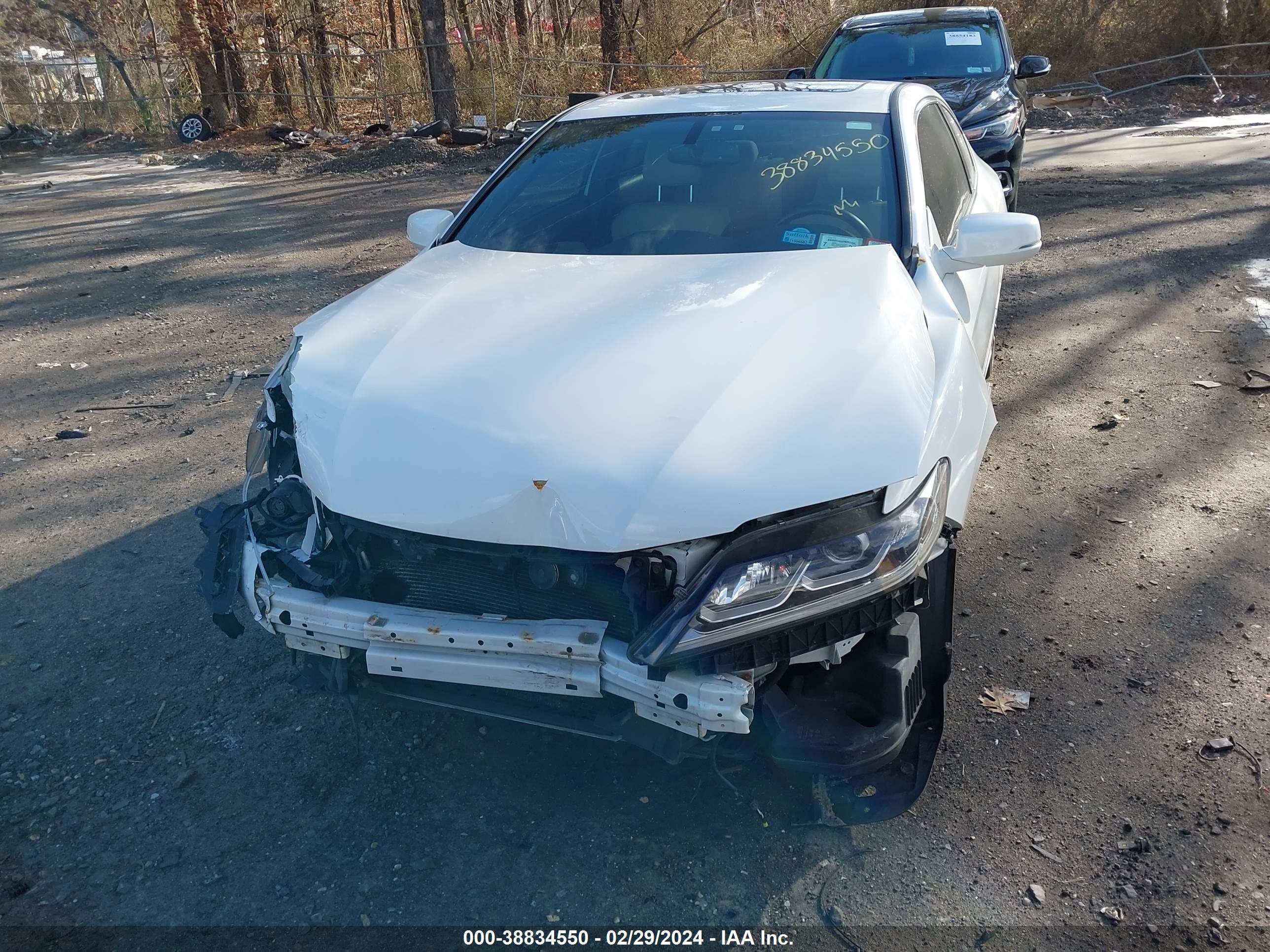 Photo 11 VIN: 1HGCT2B82HA001662 - HONDA ACCORD 