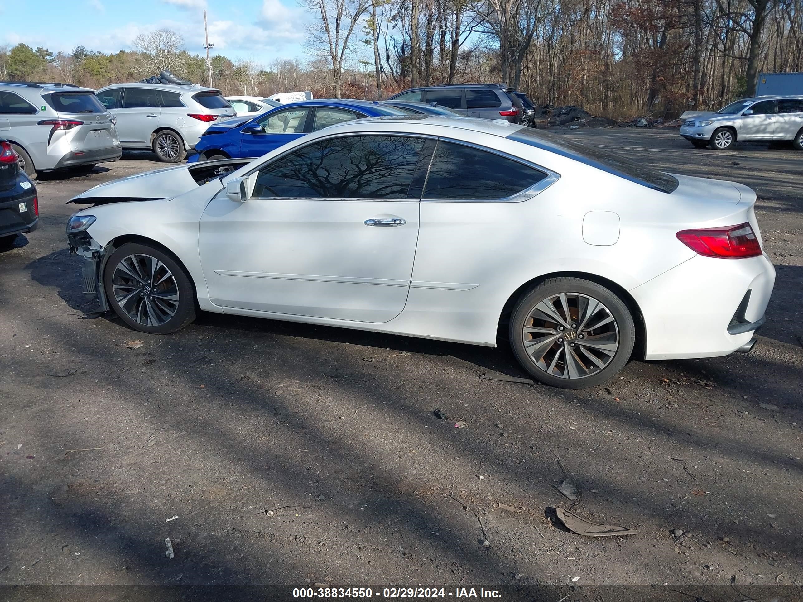 Photo 13 VIN: 1HGCT2B82HA001662 - HONDA ACCORD 