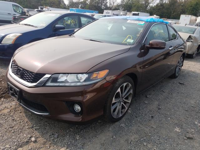 Photo 1 VIN: 1HGCT2B85DA004355 - HONDA ACCORD EXL 