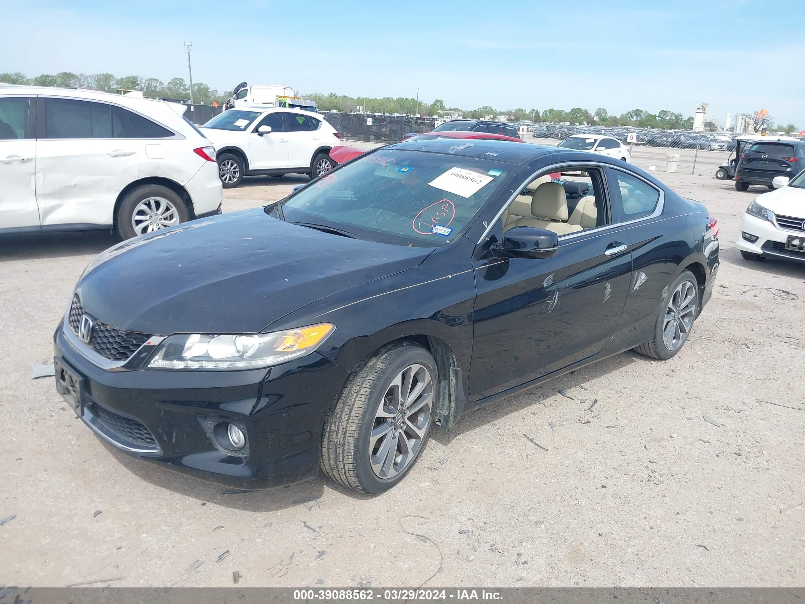 Photo 1 VIN: 1HGCT2B86DA009967 - HONDA ACCORD 