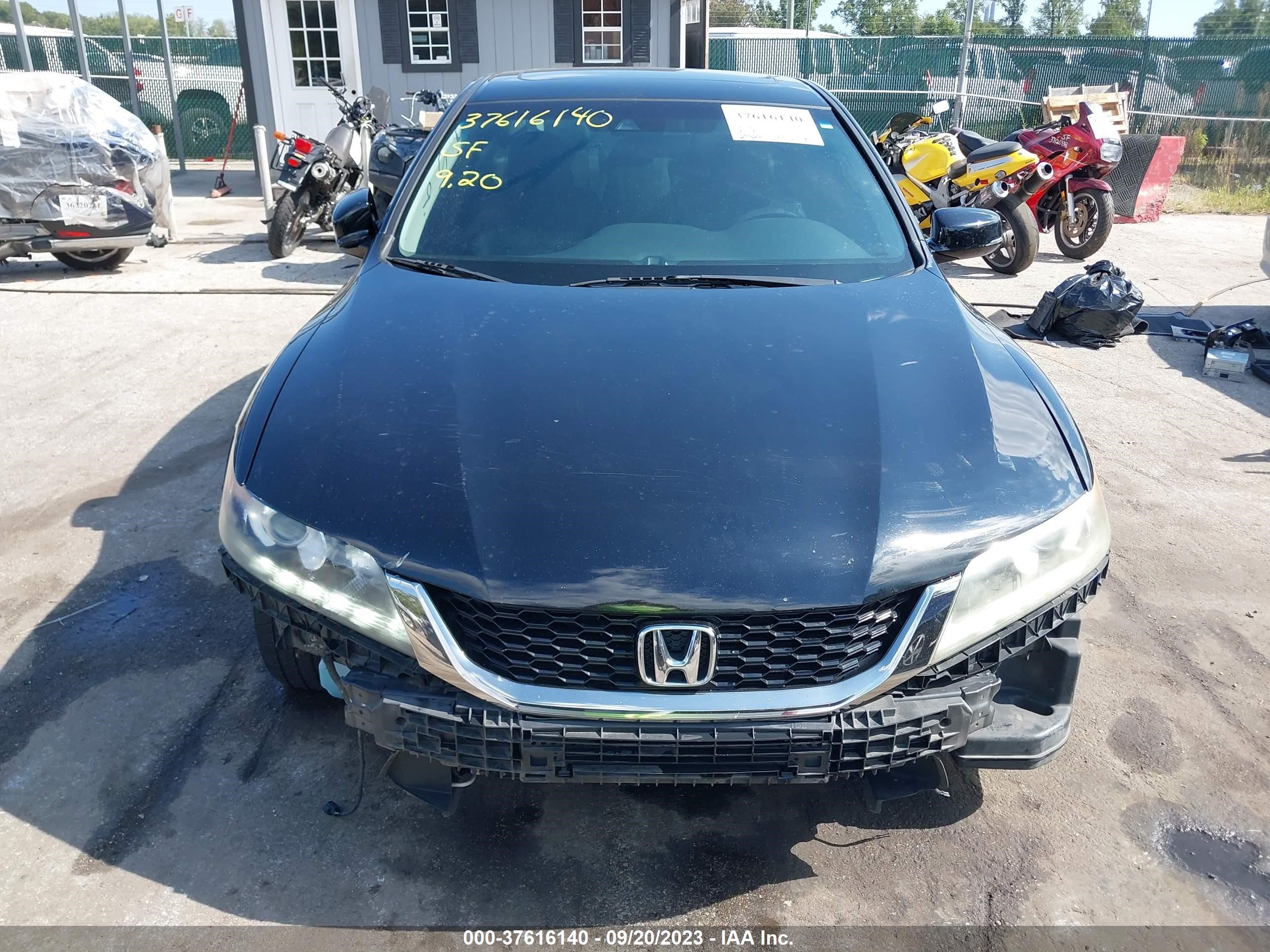 Photo 11 VIN: 1HGCT2B87DA000551 - HONDA ACCORD 