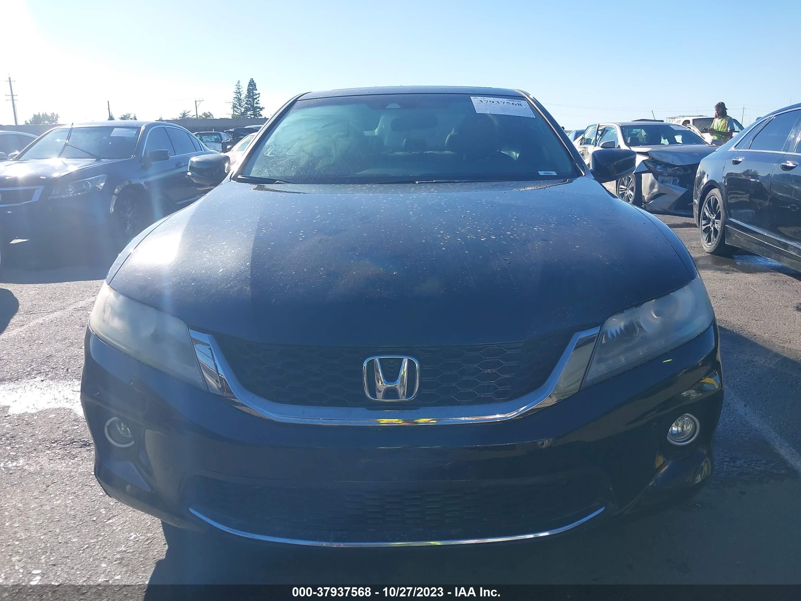 Photo 11 VIN: 1HGCT2B88DA004804 - HONDA ACCORD 