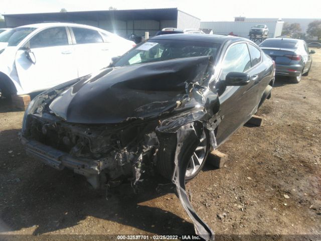 Photo 1 VIN: 1HGCT2B88DA007248 - HONDA ACCORD CPE 