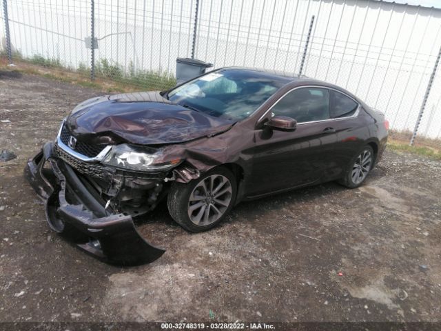 Photo 1 VIN: 1HGCT2B88DA007864 - HONDA ACCORD CPE 