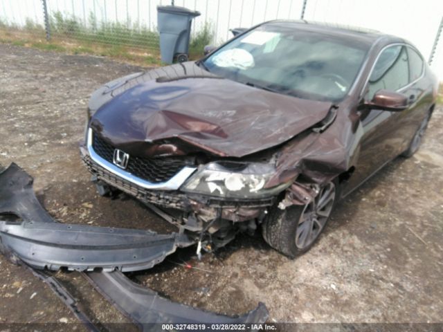 Photo 5 VIN: 1HGCT2B88DA007864 - HONDA ACCORD CPE 