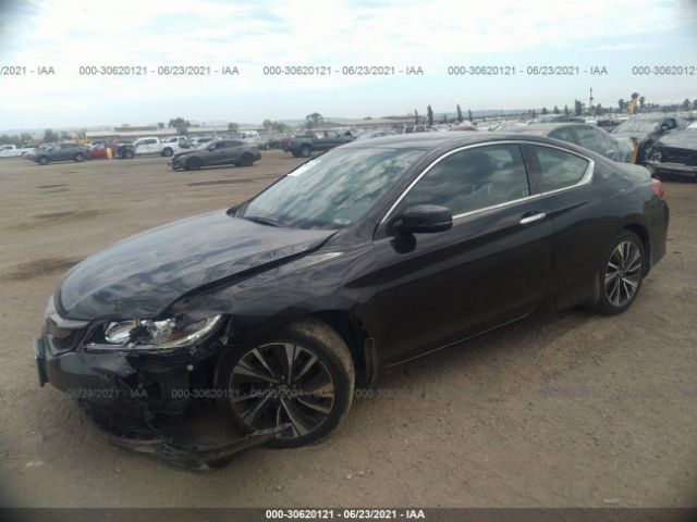 Photo 1 VIN: 1HGCT2B88HA004663 - HONDA ACCORD 