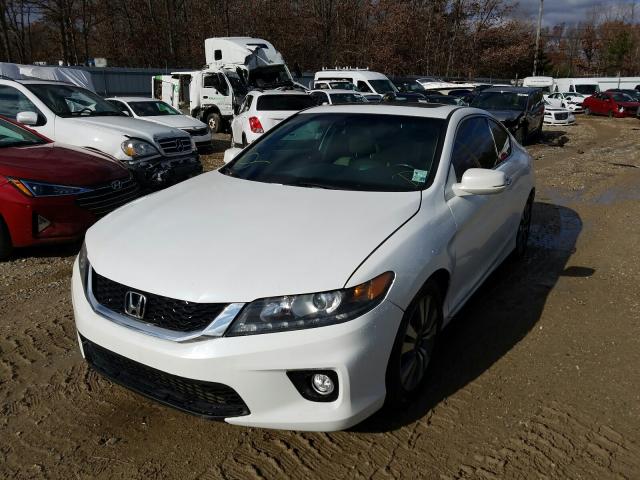 Photo 1 VIN: 1HGCT2B89DA006562 - HONDA ACCORD CPE 