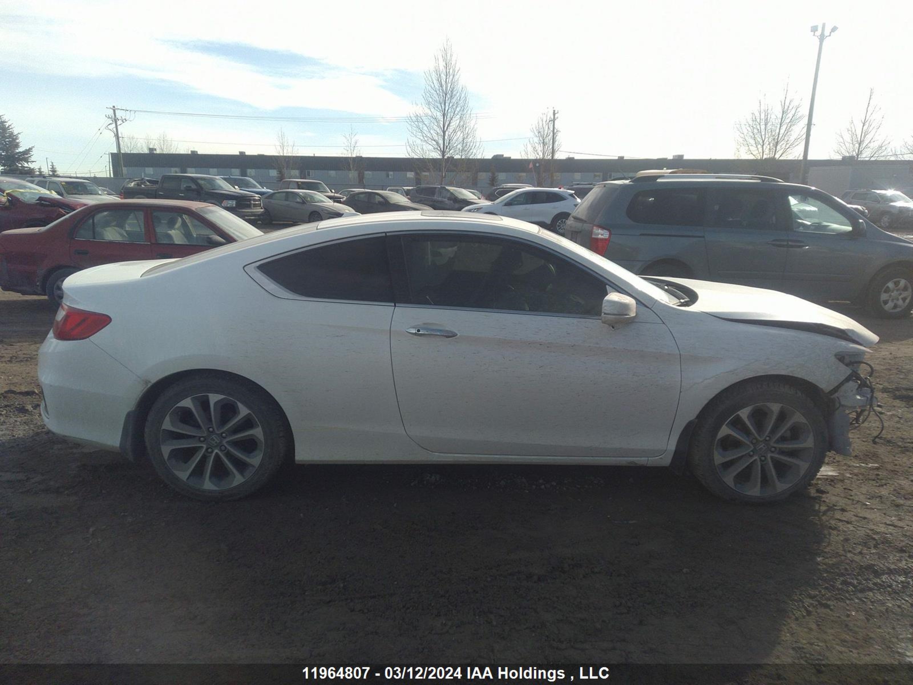 Photo 13 VIN: 1HGCT2B89FA800545 - HONDA ACCORD 