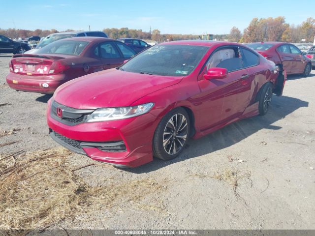 Photo 1 VIN: 1HGCT2B95GA006202 - HONDA ACCORD 