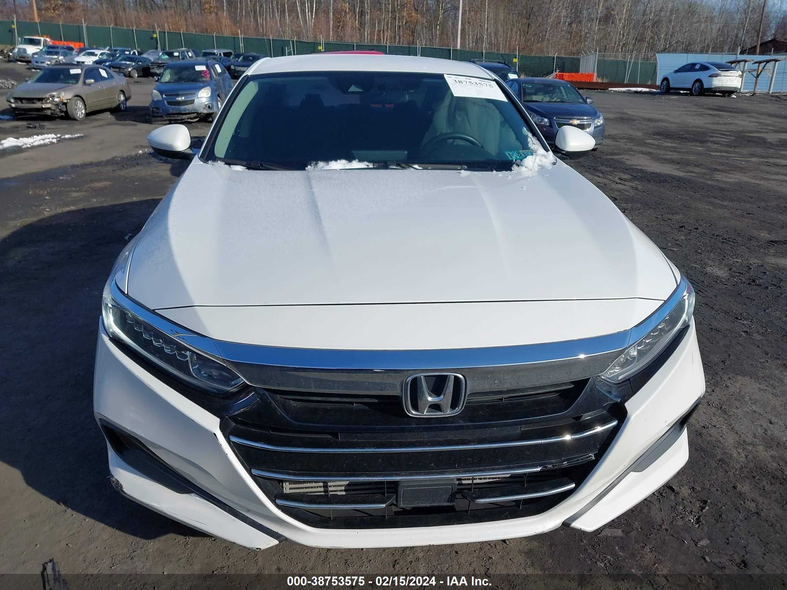 Photo 11 VIN: 1HGCV1F10MA069745 - HONDA ACCORD 