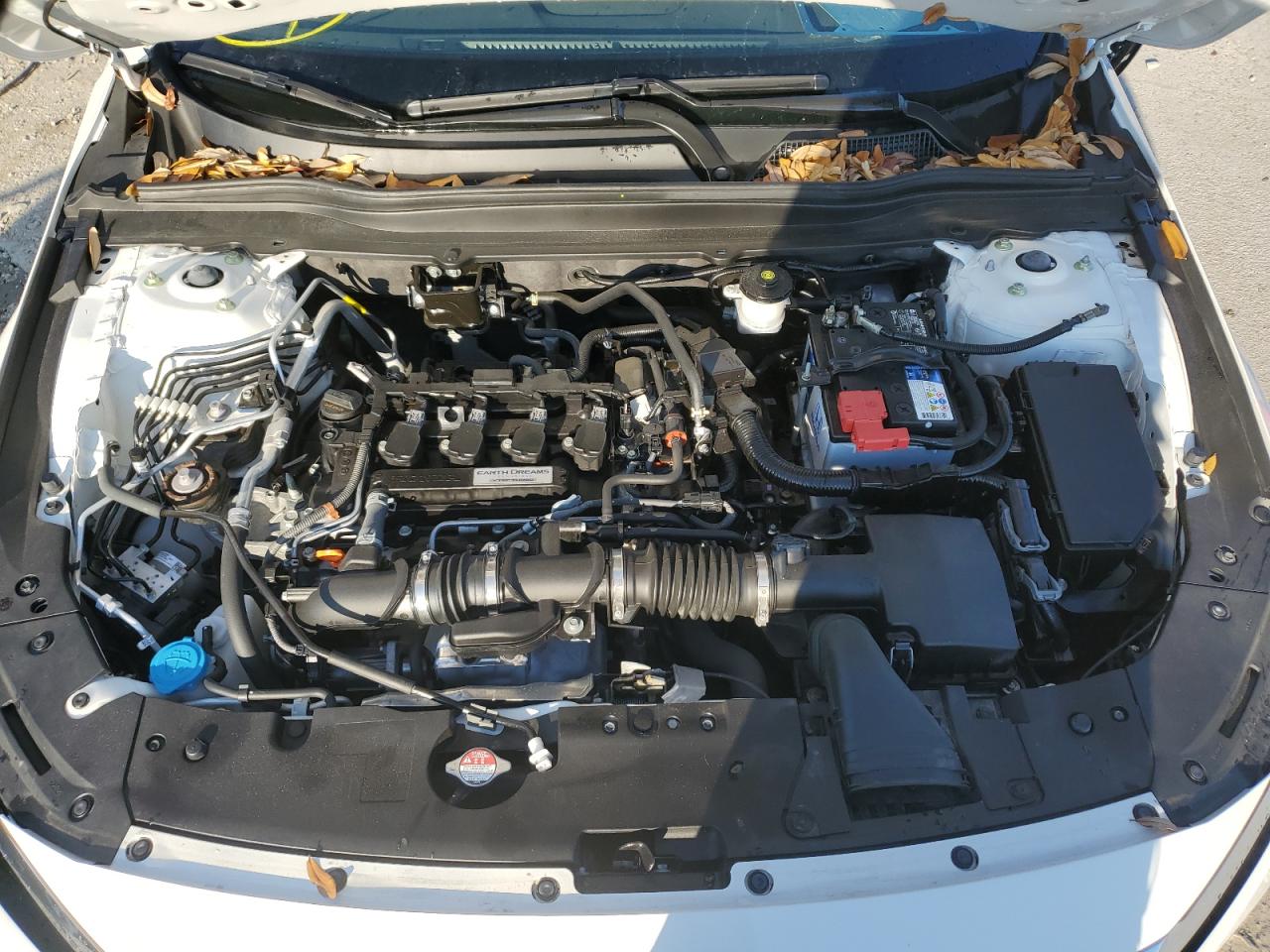 Photo 10 VIN: 1HGCV1F12LA122878 - HONDA ACCORD 