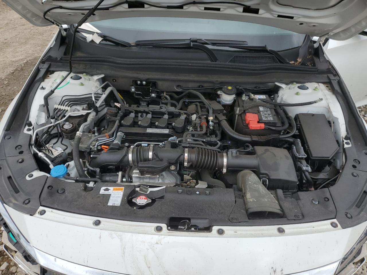 Photo 10 VIN: 1HGCV1F16KA030512 - HONDA ACCORD 