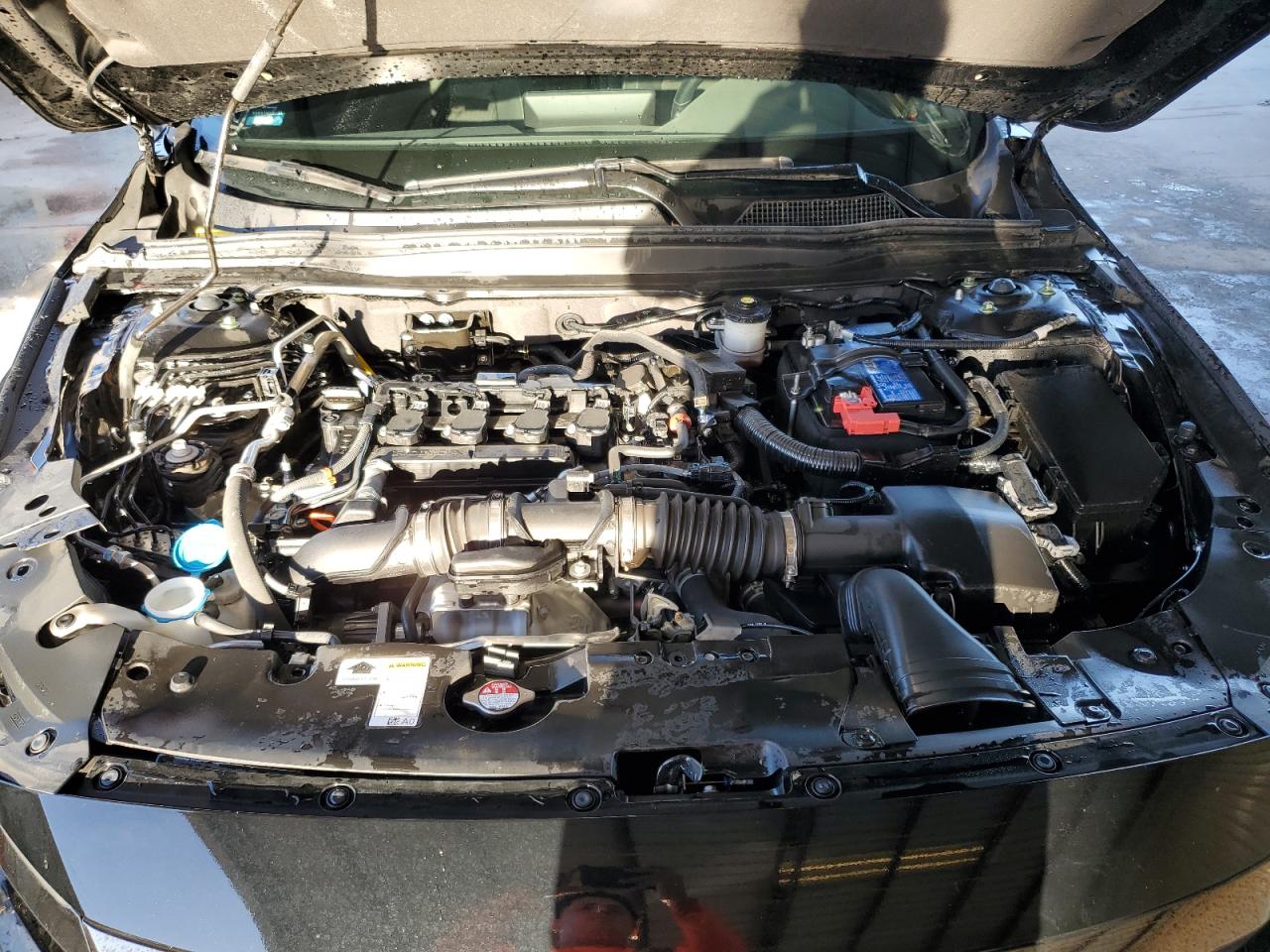 Photo 10 VIN: 1HGCV1F36MA090021 - HONDA ACCORD 