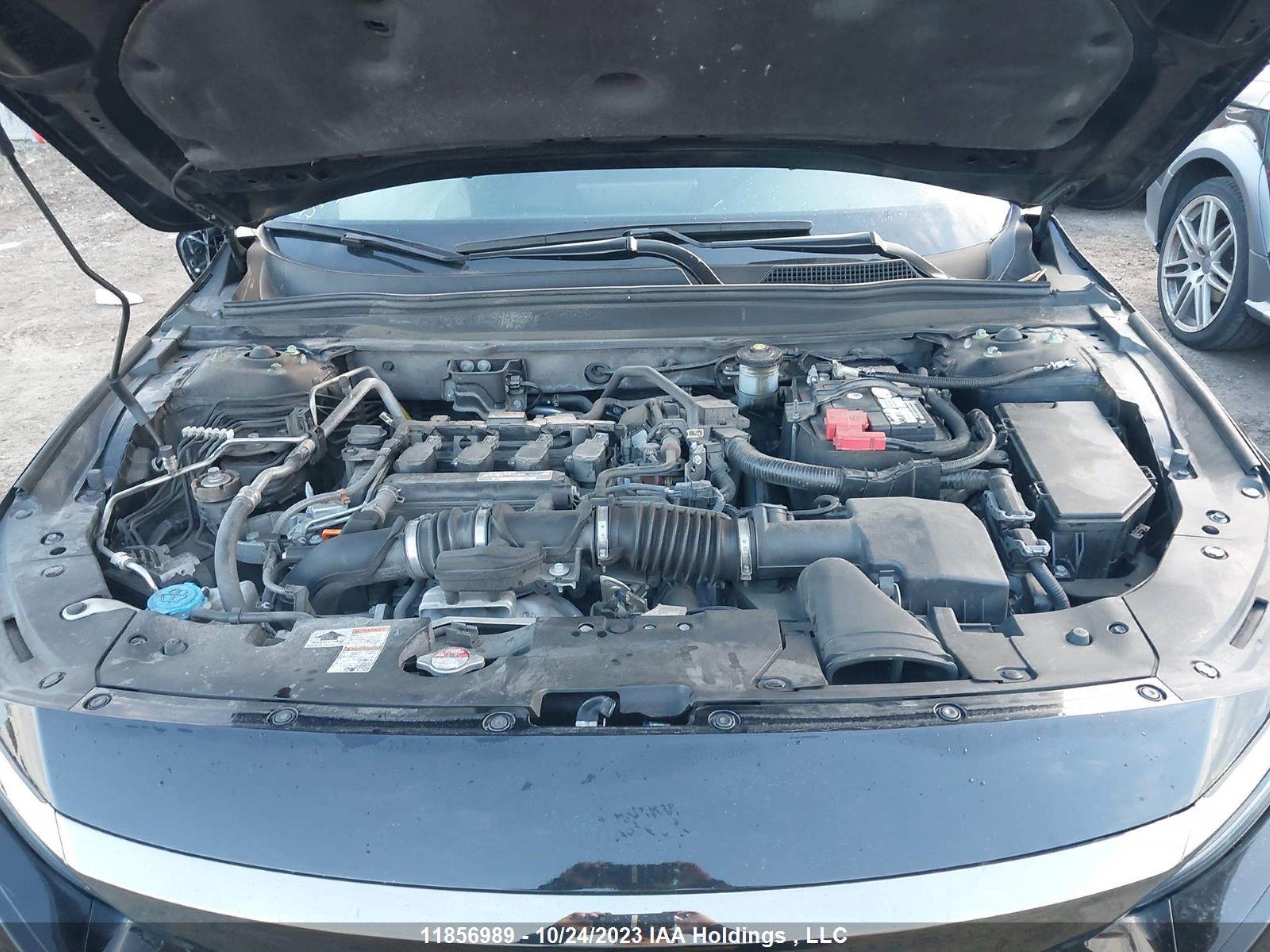 Photo 9 VIN: 1HGCV1F37KA802274 - HONDA ACCORD 