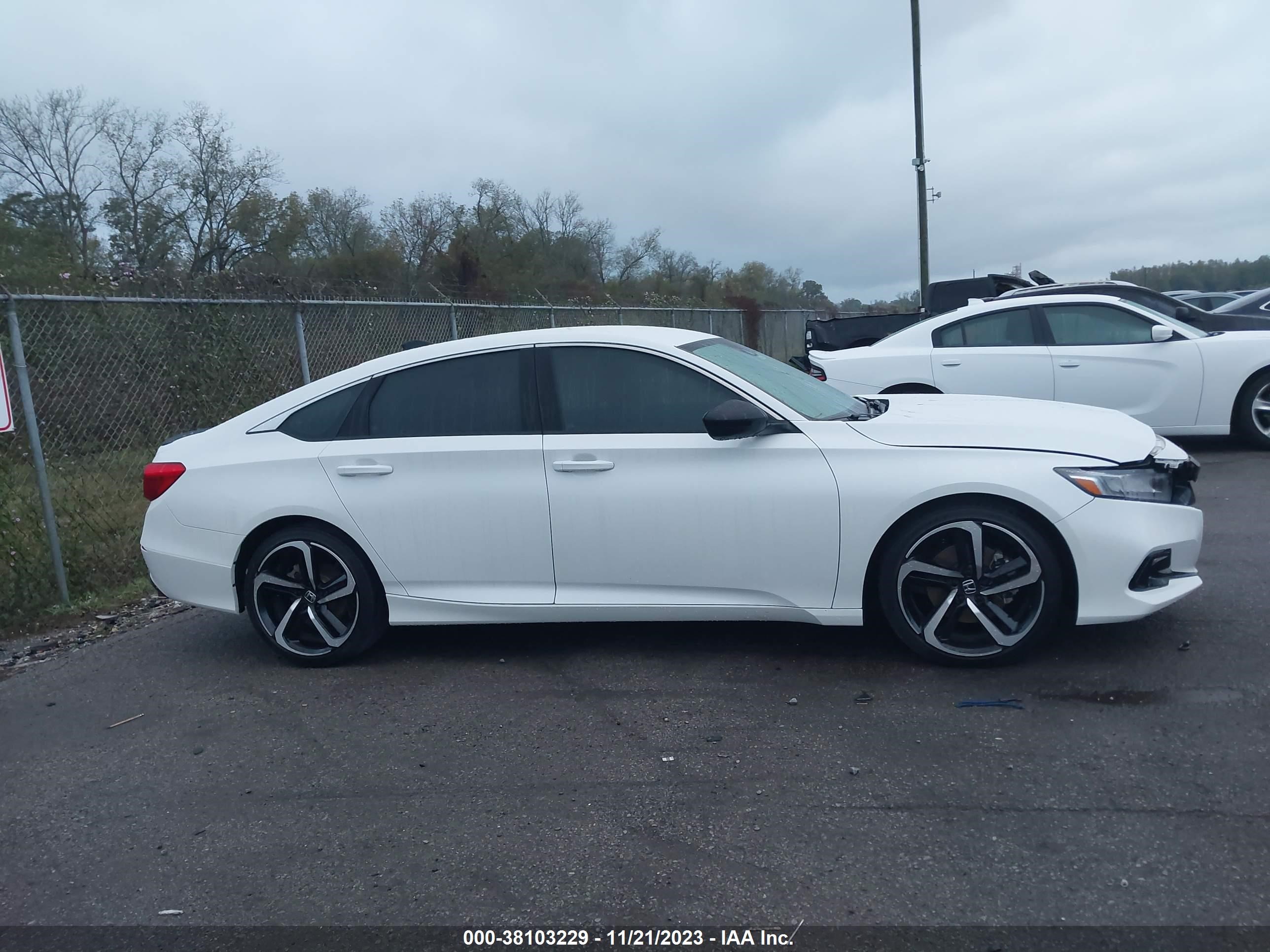 Photo 12 VIN: 1HGCV1F41MA048526 - HONDA ACCORD 