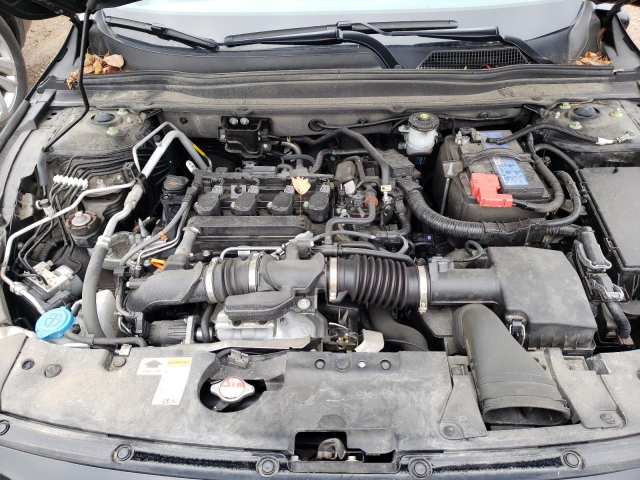 Photo 10 VIN: 1HGCV1F55MA003341 - HONDA ACCORD 