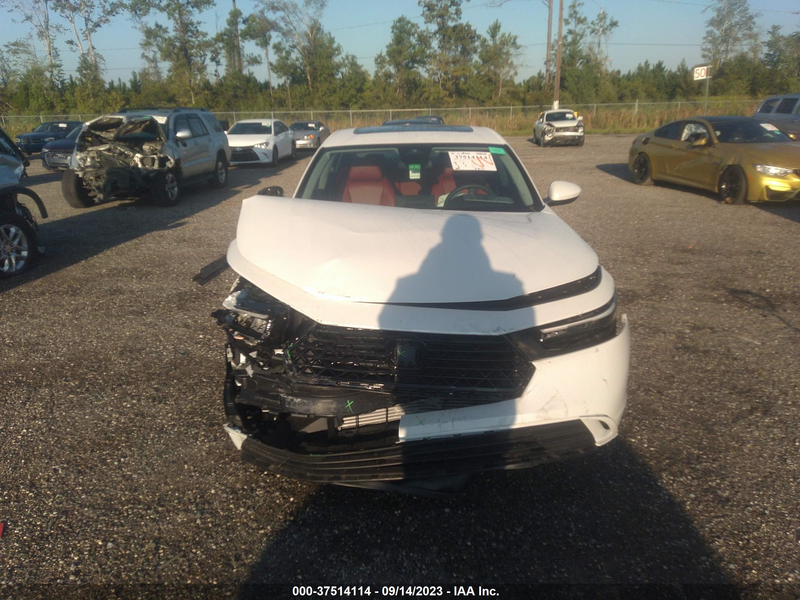 Photo 11 VIN: 1HGCY1F37PA005344 - HONDA ACCORD 