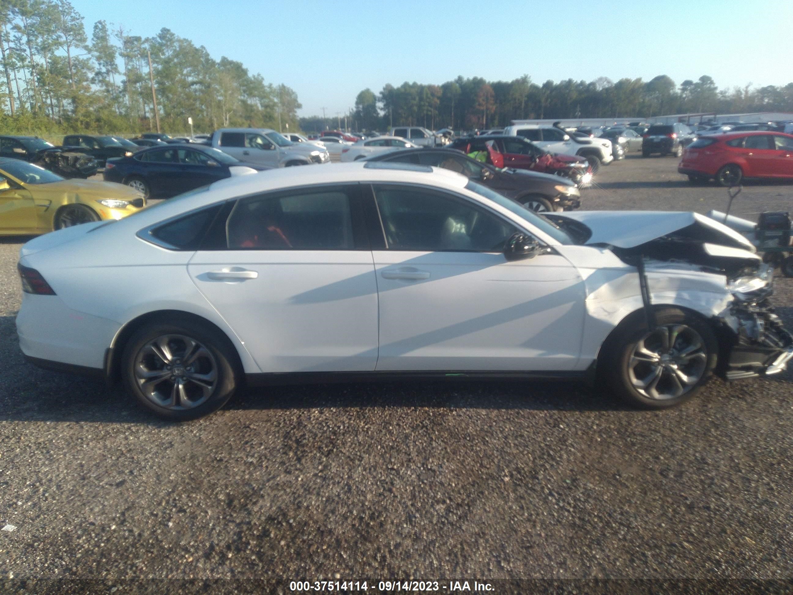 Photo 12 VIN: 1HGCY1F37PA005344 - HONDA ACCORD 