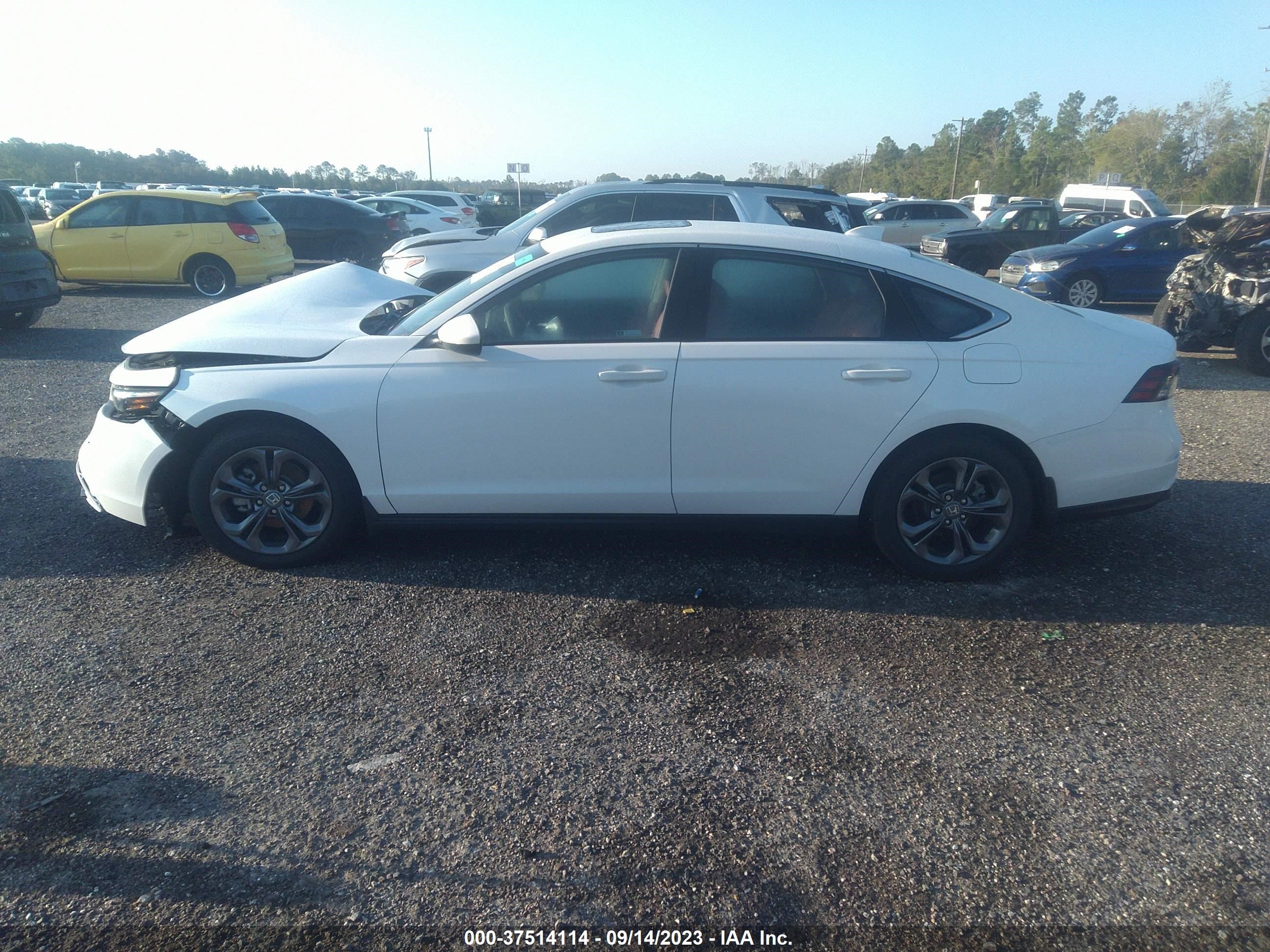 Photo 13 VIN: 1HGCY1F37PA005344 - HONDA ACCORD 