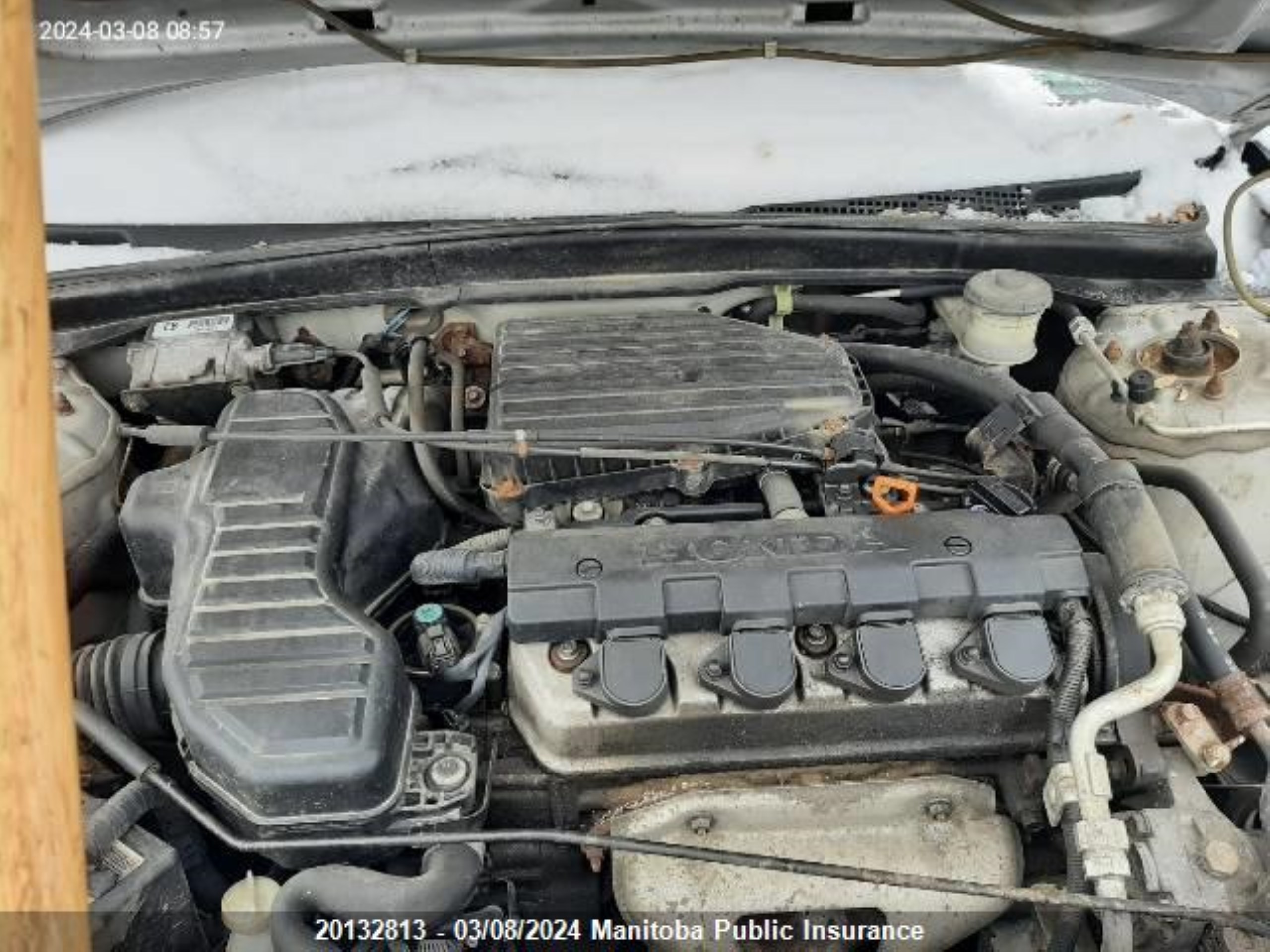 Photo 9 VIN: 1HGEM22525L810770 - HONDA CIVIC 