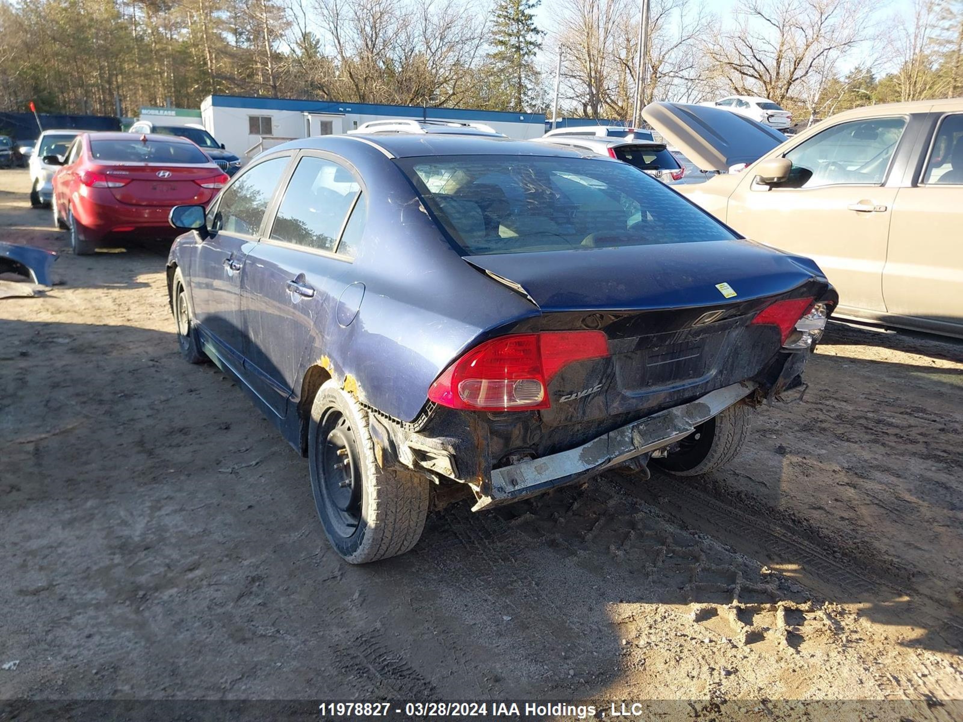 Photo 2 VIN: 1HGFA16406L803925 - HONDA CIVIC 