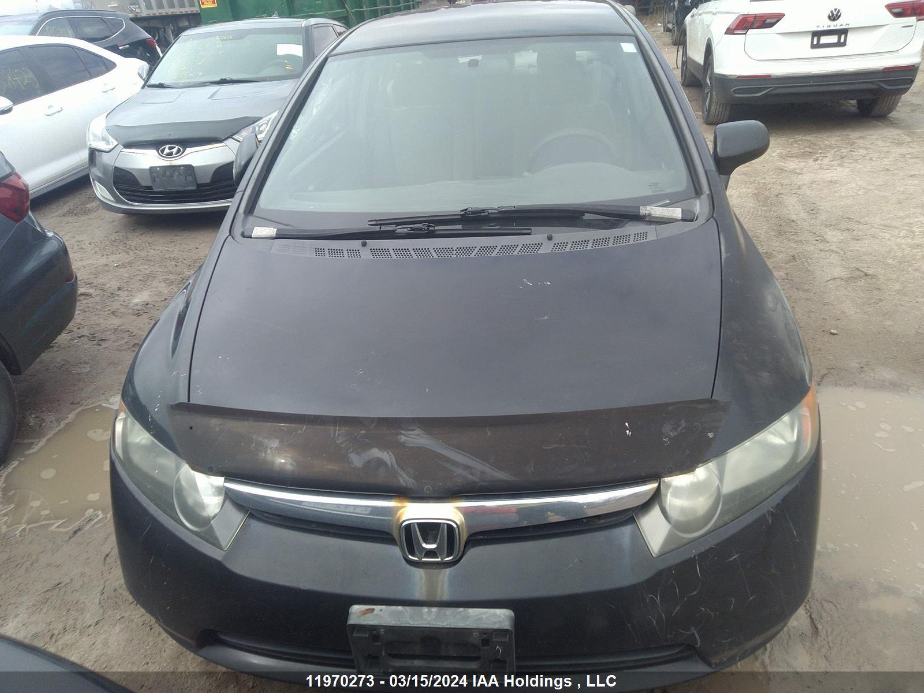 Photo 11 VIN: 1HGFA16436L803515 - HONDA CIVIC 