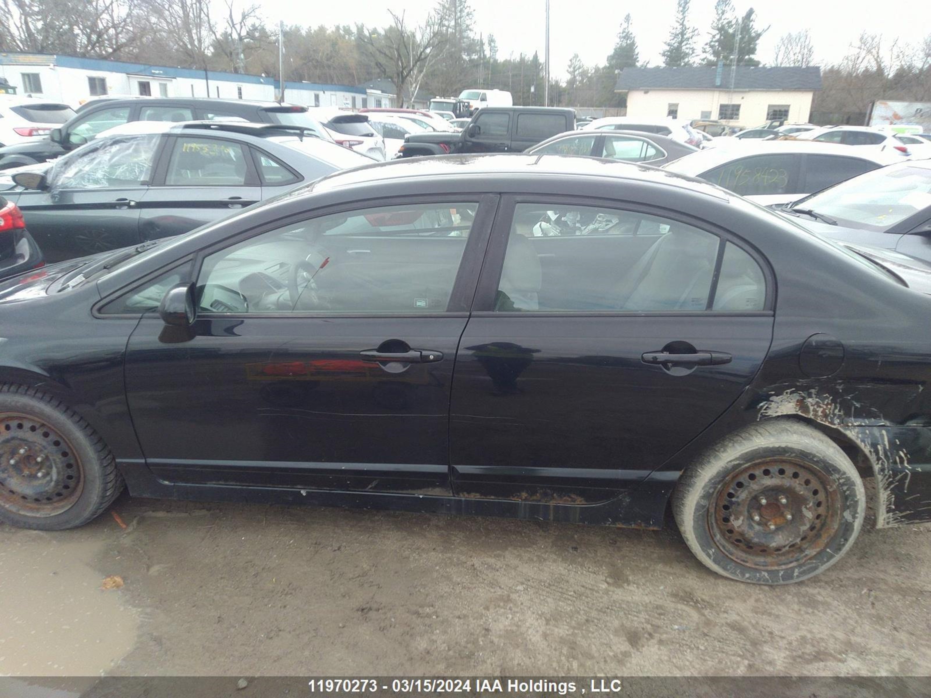 Photo 13 VIN: 1HGFA16436L803515 - HONDA CIVIC 