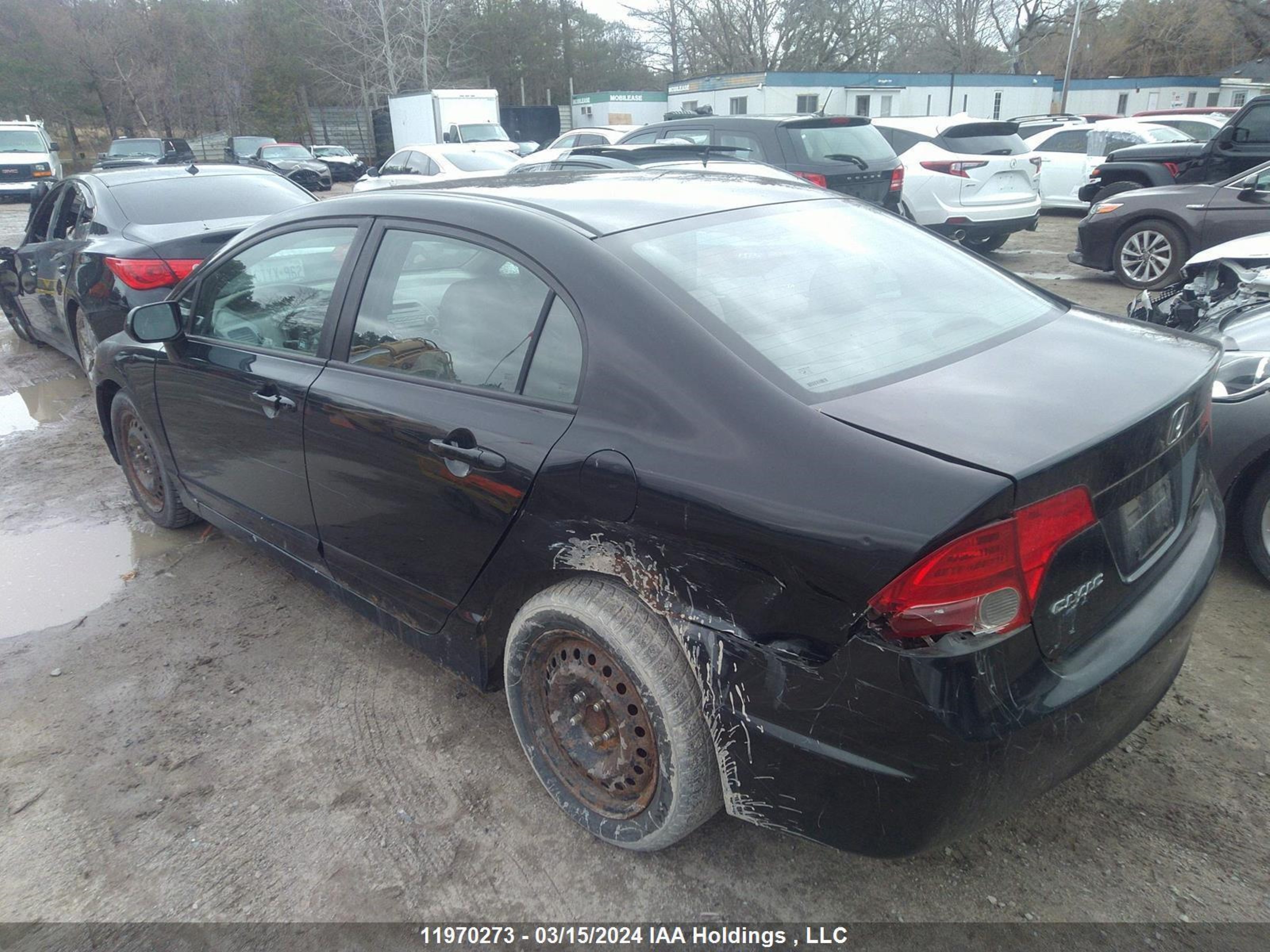 Photo 2 VIN: 1HGFA16436L803515 - HONDA CIVIC 