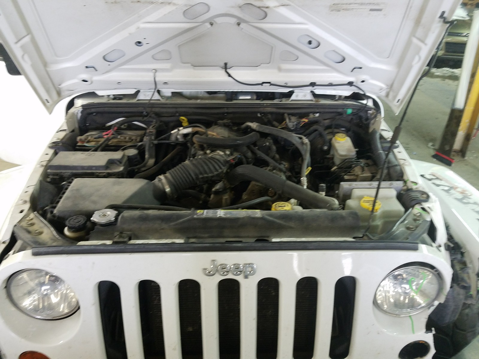 Photo 6 VIN: 1J4BA3H19BL639400 - JEEP WRANGLER U 