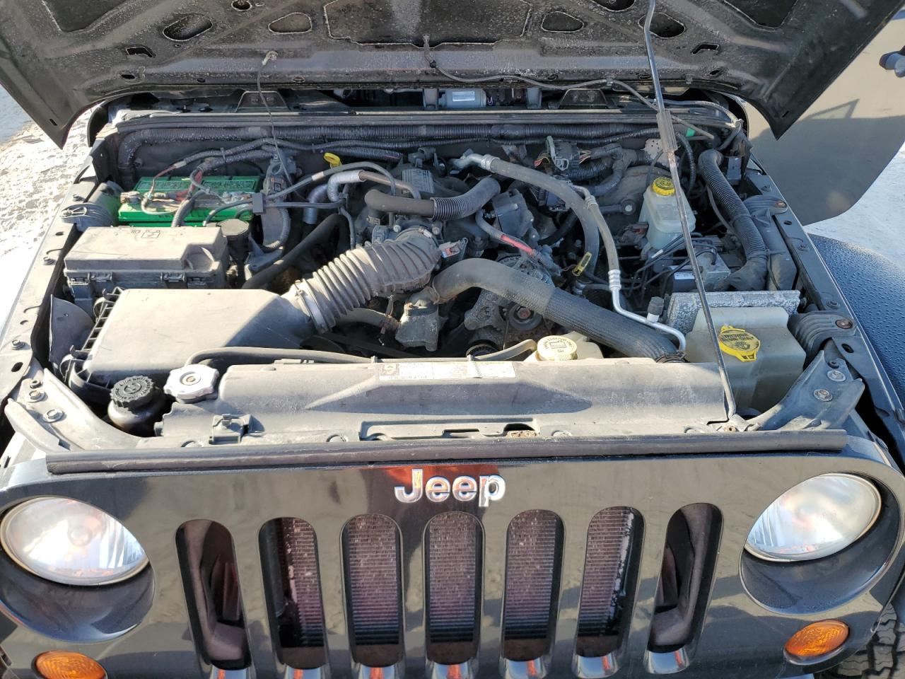 Photo 10 VIN: 1J4BA3H1XBL586450 - JEEP WRANGLER 