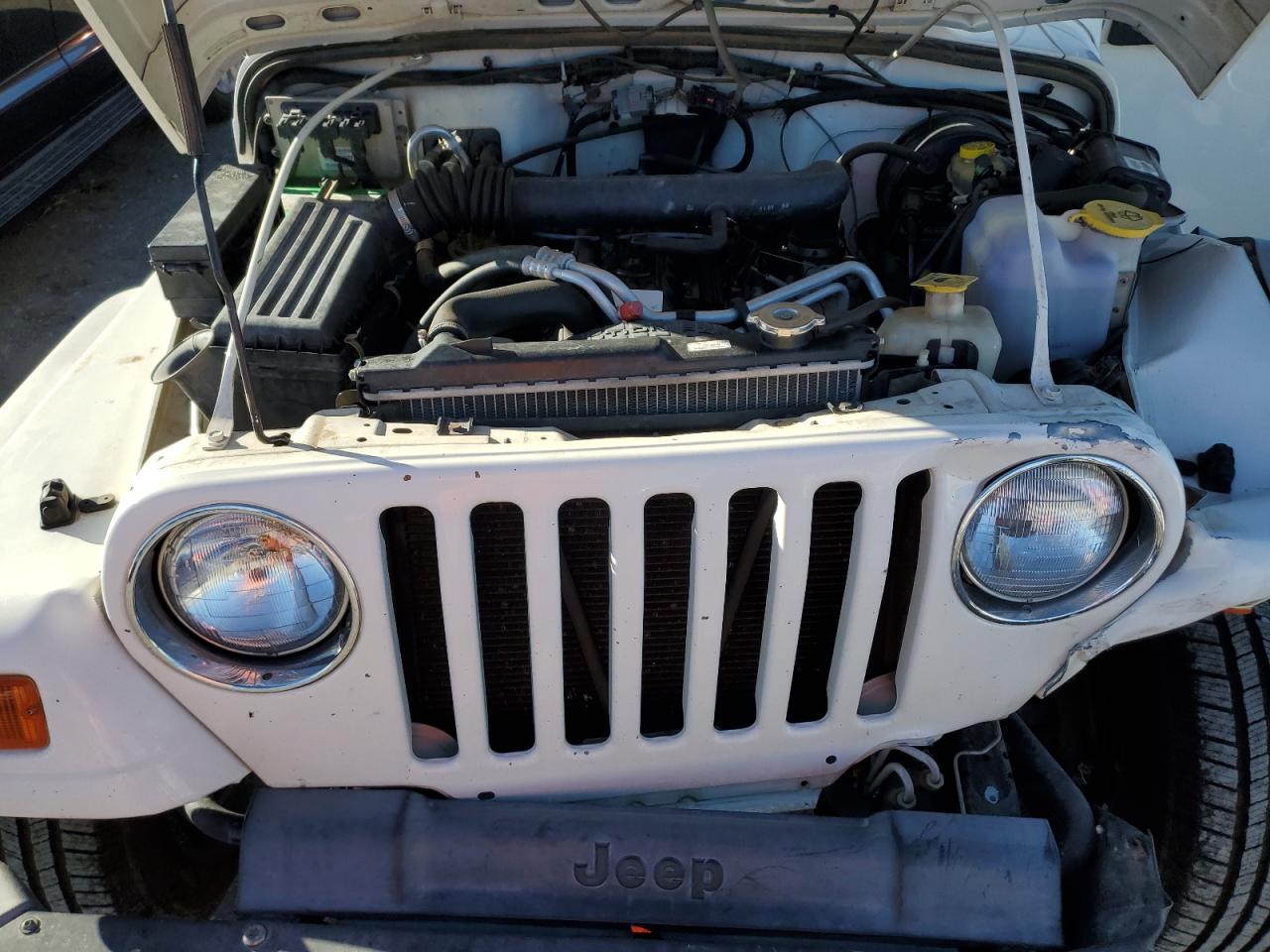 Photo 10 VIN: 1J4FA39S42P726316 - JEEP WRANGLER 