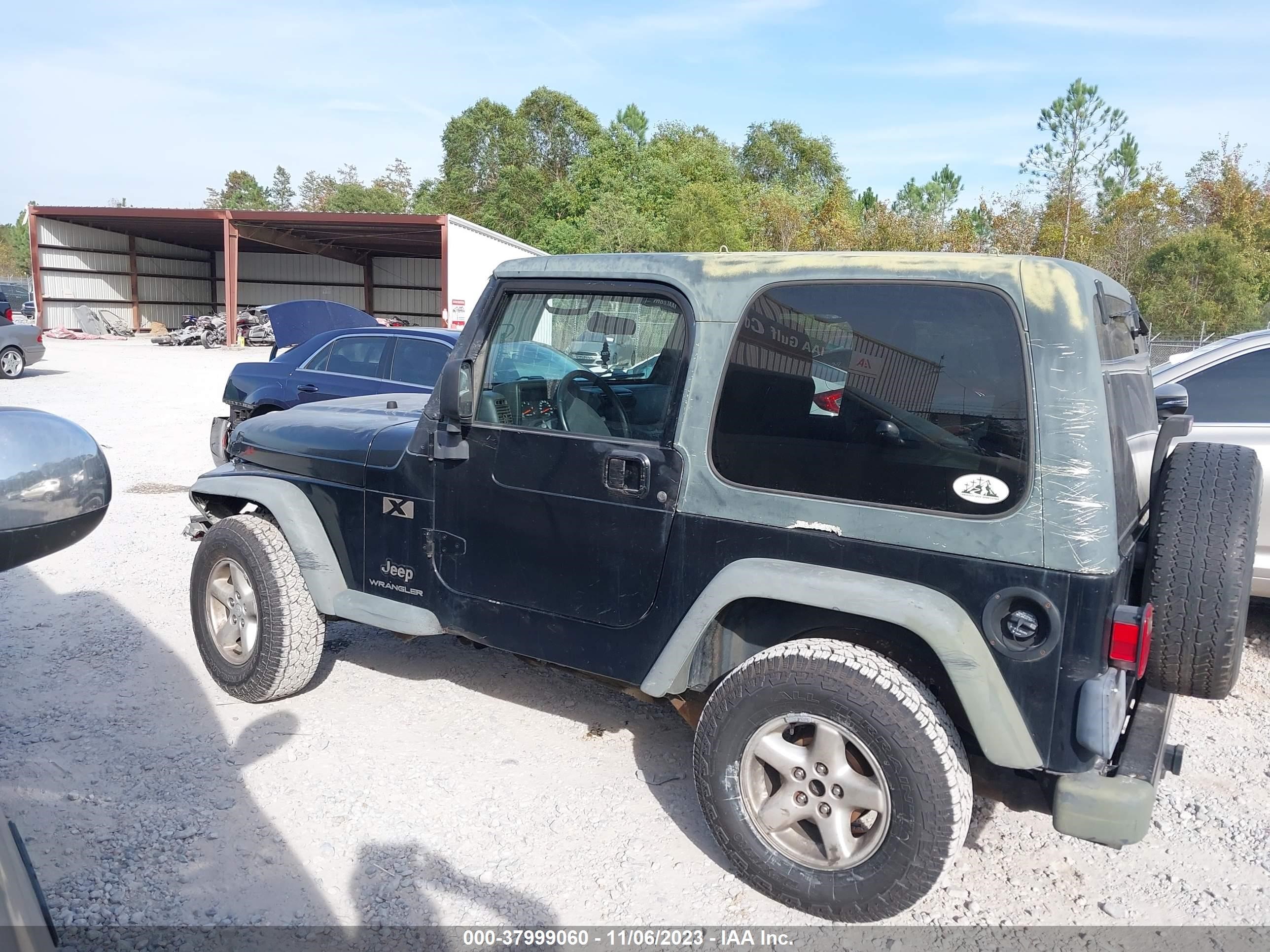 Photo 13 VIN: 1J4FA39S93P325734 - JEEP WRANGLER 