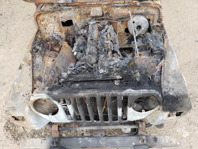 Photo 10 VIN: 1J4FA49S62P708146 - JEEP WRANGLER 